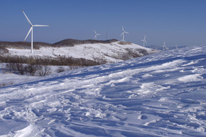 IMGP8960.(4,000만화소 고해상도 이미지) 바람과 생명의 땅 대관령 삼양목장