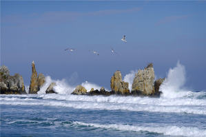 IMGP9613.(4,000만화소 고해상도 이미지) 바람과 거센파도 생명의 바다