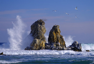 IMGP9423.(4,000만화소 고해상도 이미지) 바람과 거센파도 생명의 바다