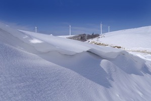 IMGP8784.(4,000만화소 고해상도 이미지) 바람 폭설 혹독한 겨울 숨쉬는 생명의 땅