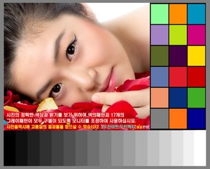 사진의 정확한 색상과 밝기를 위하여 색의패턴과 17개의 그레이패턴이 모두 구별이 되도록 모니터를 조정하여 사용하십시요.